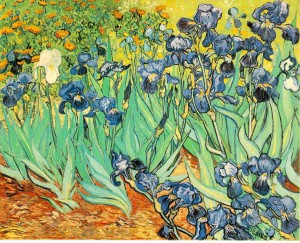 Vincent Van Gogh-Irises-1889