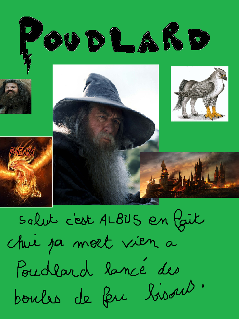 Test : Poudlard - dans quelle maison le Choixpeau magique t'enverra-t-il ?