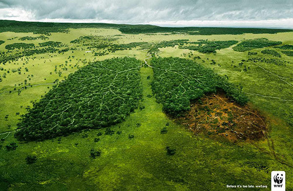1-WWF-Before-it’s-too-late-