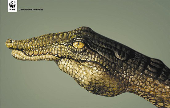 2-wwf_give-a-hand-to-widlife