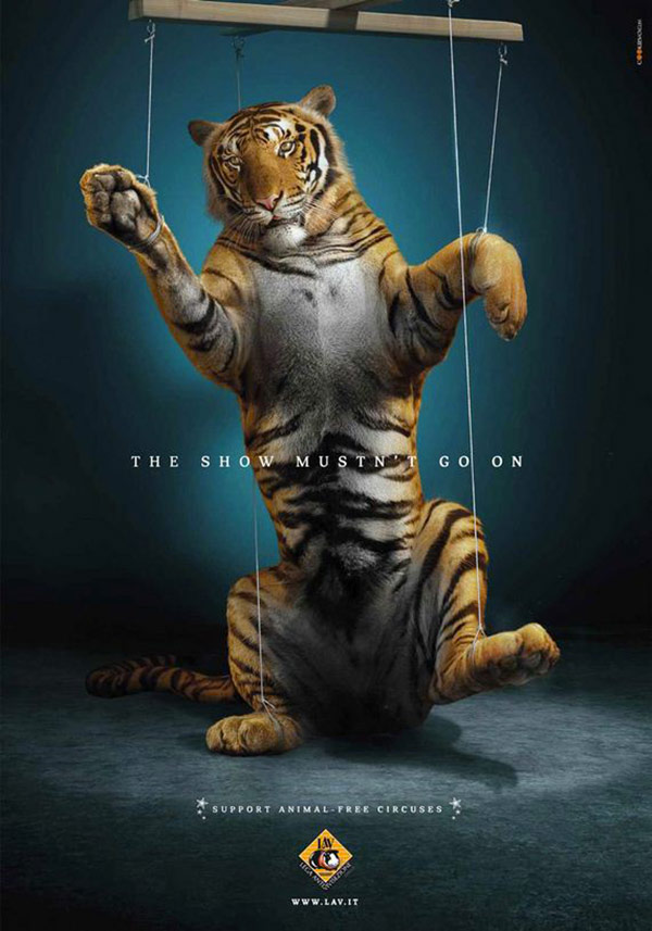 9-show-must-go-on-animaux-cirque-