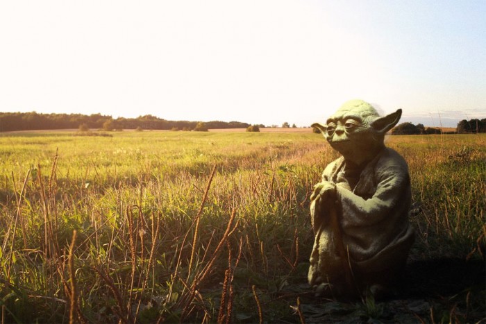 Yoda a la cambrousse