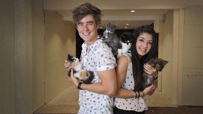 rendez vous chats