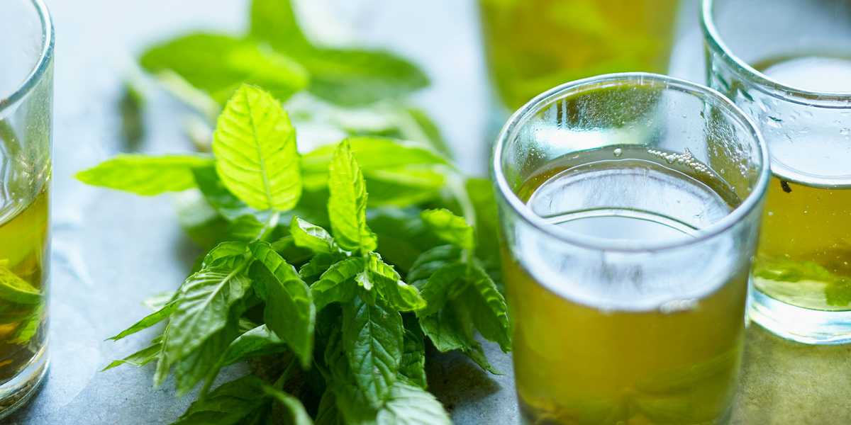 menthe poivree the