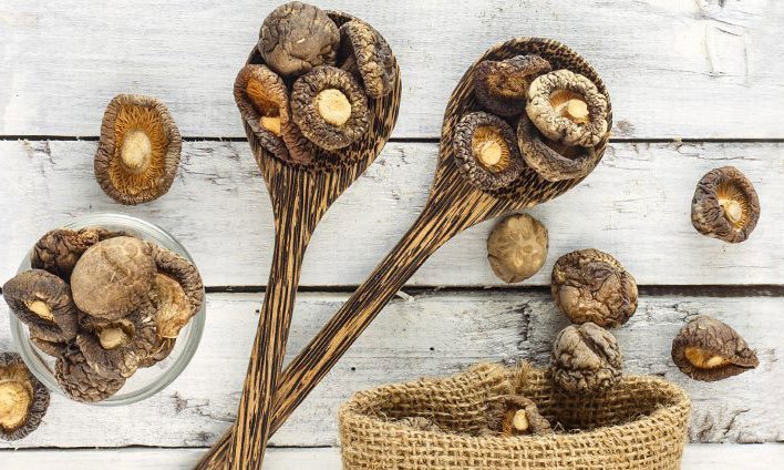 champignons medicinaux