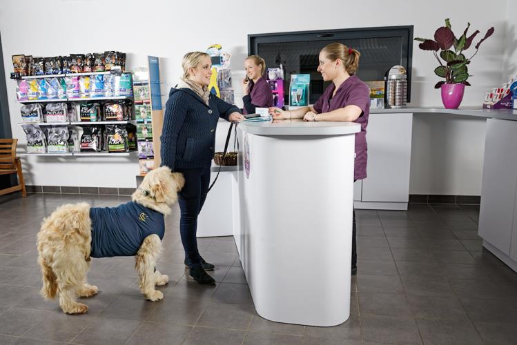 amenagement clinique veterinaire